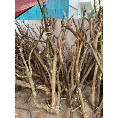 Thân cây giả - làm bằng gỗ - Size từ 80cm đến 200cm - Cây giả, hoa lụa trang trí nhà cửa