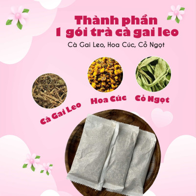 Trà cà gai leo túi lọc cà dây leo của siêu thị thiên nhiên