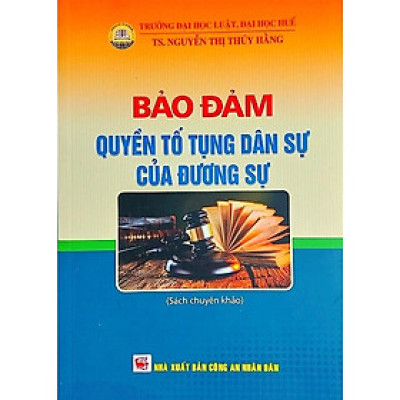 Sách Bảo Đảm Quyền Tố Tụng Dân Sự Của Đương Sự Xuất Bản Năm 2023