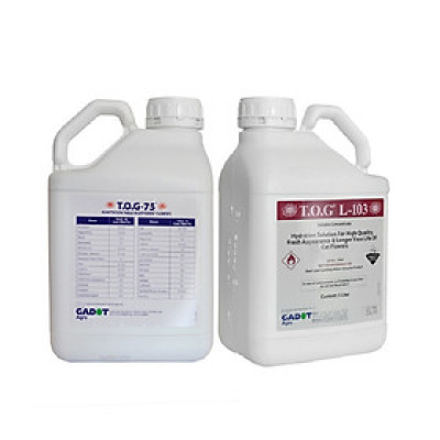 Combo 2 chai dung dịch Bảo Quản Hoa Lily không nở trong 15 ngày tại nhà vườn trồng hoa Growers theo công nghệ xử lý TOG của Israel (dạng nước đậm đặc)