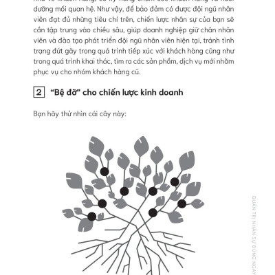 Quản Trị Nhân Sự Đúng Ngay Từ Đầu