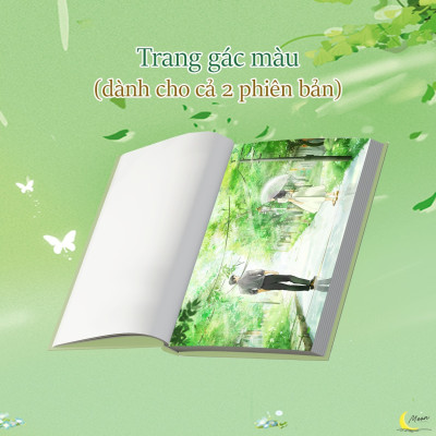 Phố Dài (Tái Bản 2025) - Bản Đặc Biệt - Tặng Kèm 1 Bookmark Bồi Cứng + 2 Card Bồi Cứng + Standee
