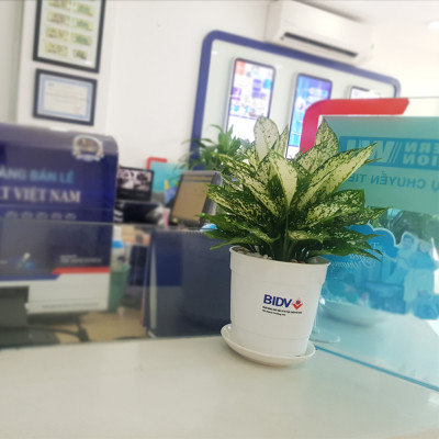 Chậu trồng cây trong nhà để bàn cao cấp Minigarden Basic Pot S, màu trắng nhập khẩu Châu Âu, Chất liệu nhựa PP chống UV, với cơ chế tự hút nước - thoát nước giúp cây sống tốt không cần chăm sóc