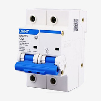 CB đóng ngắt, aptomat Chint 100A 2P 230V/400V