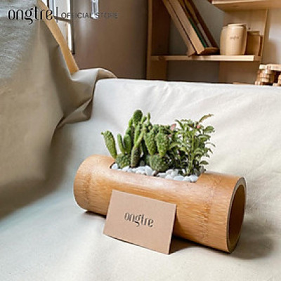Ống tre trồng cây mini dạng treo, trang trí,... | ongtre (Vietnam)