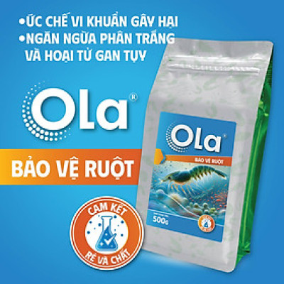 OLA BẢO VỆ RUỘT: Ức chế vi khuẩn gây hại, ngăn ngừa phân trắng và hoại tử gan tụy