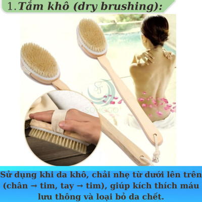 Bàn chải tắm cán dài bằng gỗ tự nhiên - Bàn chải massage cơ thể cao cấp - Cọ tắm khô & ướt cán dài tiện lợi - Bàn chải chà lưng chống tế bào chết - Bàn chải tắm toàn thân spa tại nhà