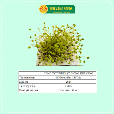 Hạt Giống Rau Mầm Cải Thìa - Hạt nhập khẩu New Zealand, nảy mầm >95%, dễ trồng, sinh trưởng khỏe - HẠT GIỐNG SEN VÀNG