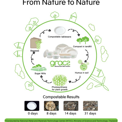 Combo 50 cái Tô giấy bã mía Thái Lan 875ml - thương hiệu Gracz