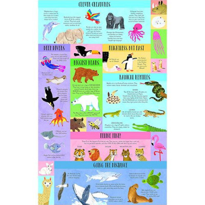 Large Question & Answer Flap Book -Dinosaurs by Kathryn Selbert 