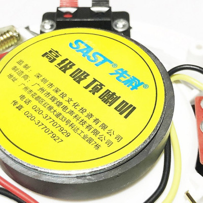 Loa Âm Trần Độc Đáo Chất Âm Hay SAST 5 inch S1-4 Hàng Chính Hãng