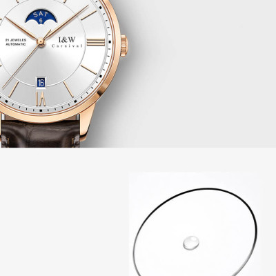 Đồng hồ nam chính hãng IW CARNIVAL IW528G-1 Kính sapphire ,chống xước,Chống nước 30m ,Bảo hành 24 tháng,Máy cơ (Automatic),Dây da cao cấp