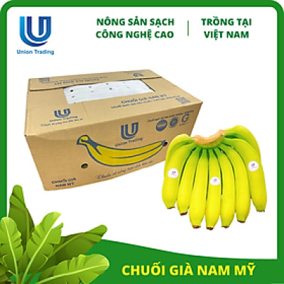 Chuối Tươi Union Trading - Thùng 13Kg - Thơm Dẻo, Giàu Dinh Dưỡng - Trồng Công Nghệ Cao Tại Việt Nam