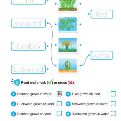 i-Learn English for Science 2 Student