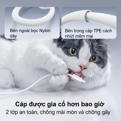 Cáp sạc nhanh Type C to Type C 100W Baseus Dynamic 4 Fast Charging Data Cable - Hàng chính hãng