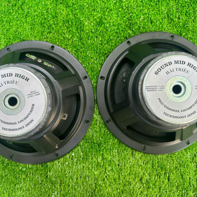 CỦ LOA BASS RỜI 20 COIL 38 TỪ 100 GÂN VẢI HÀNG CHÍNH HÃNG HẢI TRIỀU ( GIÁ 1 CÁI)