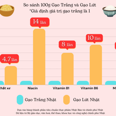 GẠO LỨT NHẬT HOKKAIDO YUMEPIRIKA 