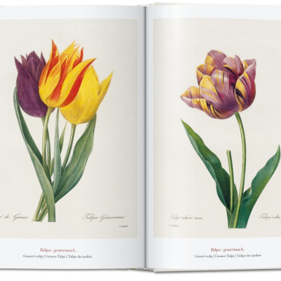 Artbook - Sách Tiếng Anh - Book Of Flowers