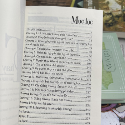 [Tủ sách Lyceum] THAY VÌ GIÁO DỤC – Cách giúp mọi người làm việc tốt hơn – John Holt – Kim Hoa dịch – NXB Dân Trí (Bìa mềm)