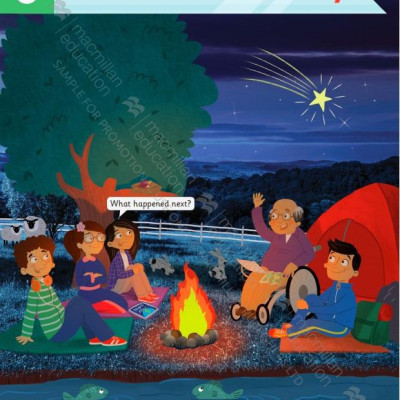 Academy Stars Level 4 Pupils Book Pack