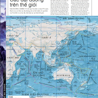 OCEAN – Thuyết Minh Trực Quan Nhất Về Đại Dương