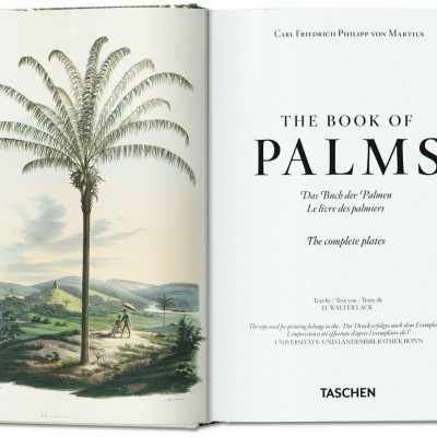 Artbook - Sách Tiếng Anh - Martius. The Book of Palms. 40th Ed.