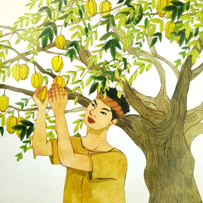 Cổ tích Việt Nam cho bé: Sự tích Cây khế - Kim Đồng - Bản màu