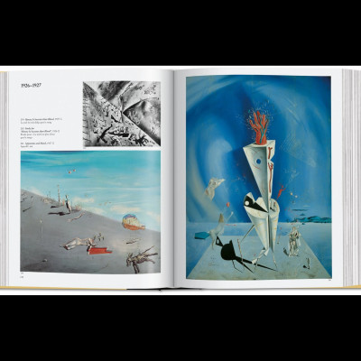 Artbook - Sách Tiếng Anh - Dalí: The Paintings