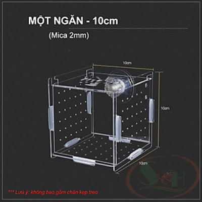 Box mica DIY hít treo đa năng lồng tách dưỡng cây cá tép