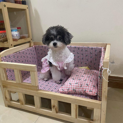 Giường ngủ cho thú cưng