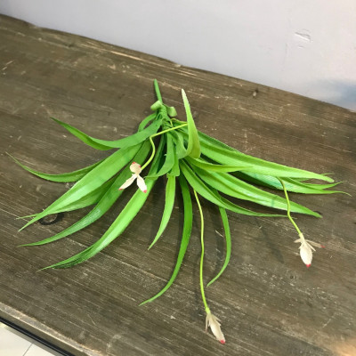 Cụm lá lan giả trang trí- Cụm lá điểm - Cỏ điểm trang trí cao cấp