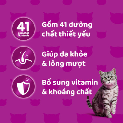 [Combo 12 Gói] Thức Ăn Cho Mèo WHISKAS 1+ years Vị Cá Ngừ, Cá Trắng 80g/Gói