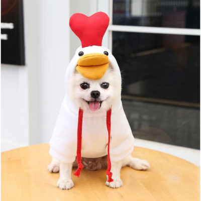 Áo Hình Con Ong, Con Gà có mũ cho chó mèo (2 Chân) , Áo Quần Thú Cưng , Vải Nỉ dày, giữ ấm