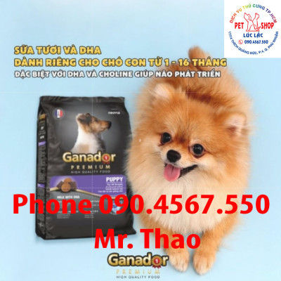 20KG Thức ăn cho chó con Ganador vị Sữa và DHA - Ganador Puppy milk with DHA - Thức ăn hạt cho chó con