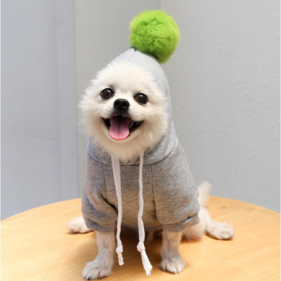 Áo Hình Con Ong, Con Gà có mũ cho chó mèo (2 Chân) , Áo Quần Thú Cưng , Vải Nỉ dày, giữ ấm