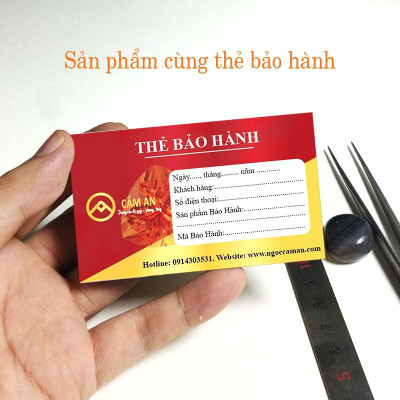 Tượng Long Quy ( Rùa đầu rồng ) cõng con phong thủy đá ngọc Serpentine Ấn độ - Dài 22 cm