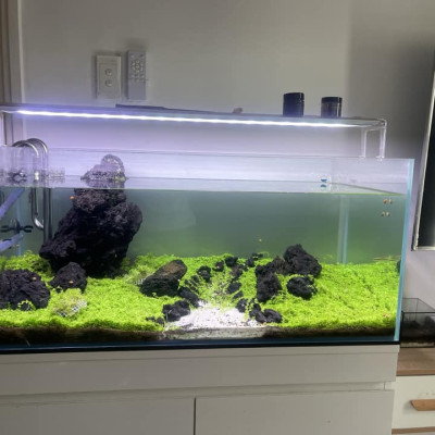 Máy Hút Vệ Sinh Hồ Cá Điện Siêu Sạch Tích Hợp Đầu Bơm Sobo BO-028, BO -058. Tiện lợi.