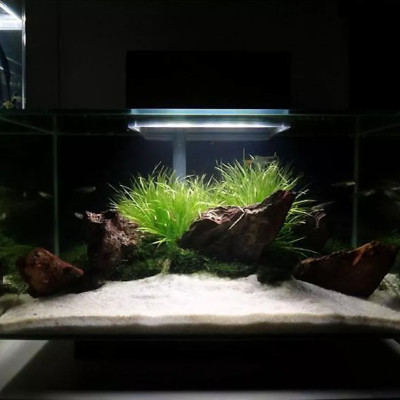 5KG Cát thủy sinh thạch anh lọc nước, trải nền, làm thác cát, trang trí bể cá, khử asen, tạp chất có trong nước ăn hàng ngày ... 