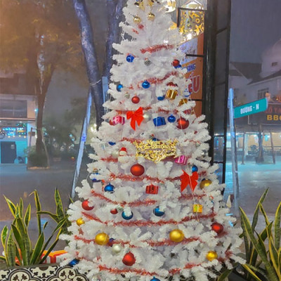 Cây thông noel màu trắng 1m2 - Tán dày và đẹp, cây thông chắc chắn và dể tháo lắp