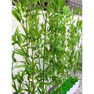 Cây trúc, tre giả - Size từ 120cm đến 200cm - Cây giả, hoa lụa Decor trang trí nhà cửa