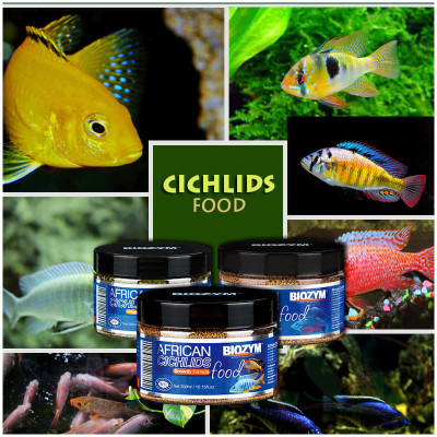 Thức Ăn Cá Biozym African Cichlid Allicin Food Tăng Sức Đề Kháng
