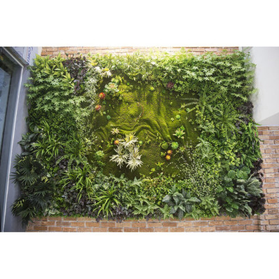 Thảm rêu giả làm tường sen đá, tiểu cảnh - Cây giả, hoa lụa Decor trang trí nhà cửa