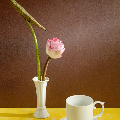 Lọ hoa bô đê sứ Long Phương Bình hoa mini cách điệu 