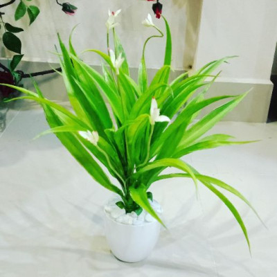 Cụm lá lan giả trang trí- Cụm lá điểm - Cỏ điểm trang trí cao cấp