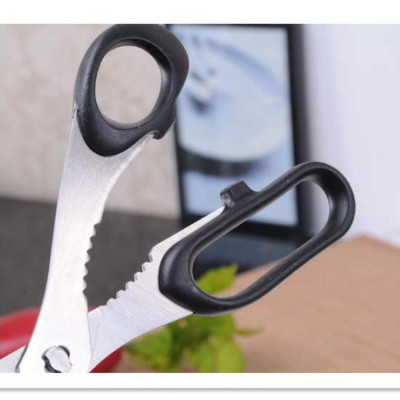 Combo kéo cắt càng cua Echo Metal + nạo sợi củ quả lưỡi inox cao cấp - nội địa Nhật Bản