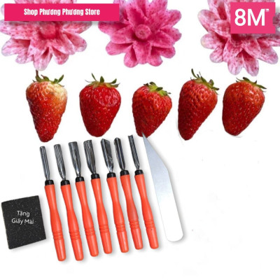 ( HÀNG CAO CẤP ) Bộ 8 & Bộ 9 món dụng cụ - dao tỉa hoa quả nghệ thuật 
