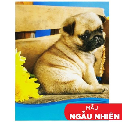 Combo 5 Tập 4 Ly Ngang 200 Trang ĐL 60g/m2 - FAHASA (Mẫu Màu Giao Ngẫu Nhiên)