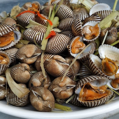 Dụng Cụ Tách Sò Huyết Inox Cao Cấp Chống Rỉ An Toàn Cho Người Dùng - Hàng Chính Hãng 