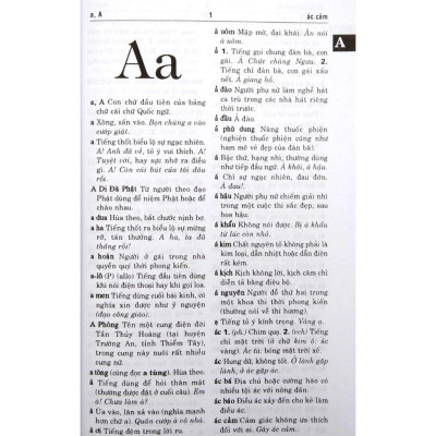 Sách - Từ Điển Tiếng Việt - 100.000 Từ - Thái Xuân Đệ - Hồng Ân