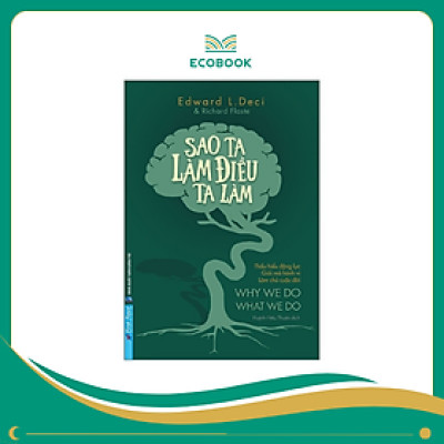 Sách Sao ta làm điều ta làm - Edward L Deci